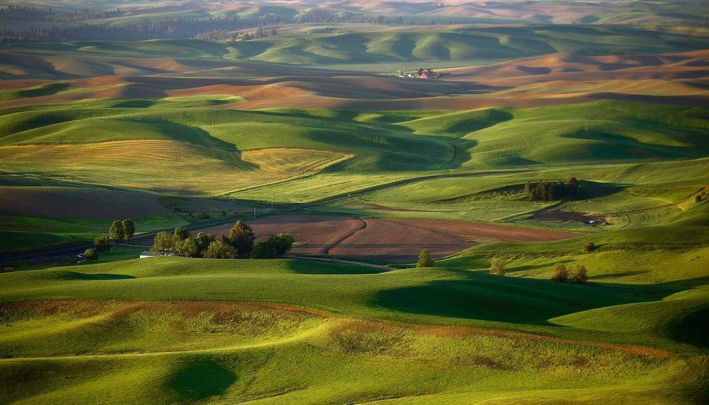 Palouse