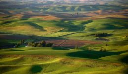 Palouse