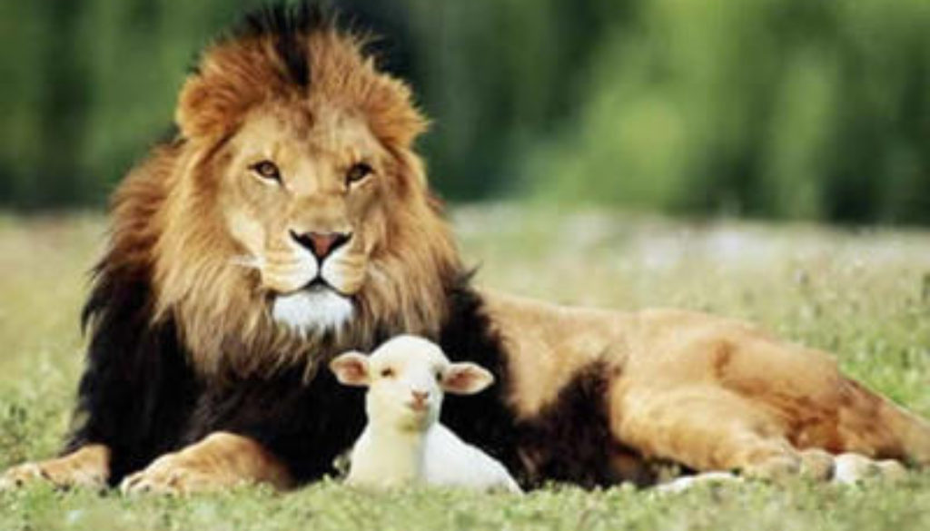 lion-and-the-lamb