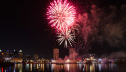 Tampa Fireworks