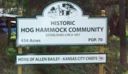 Hog Hammock sign