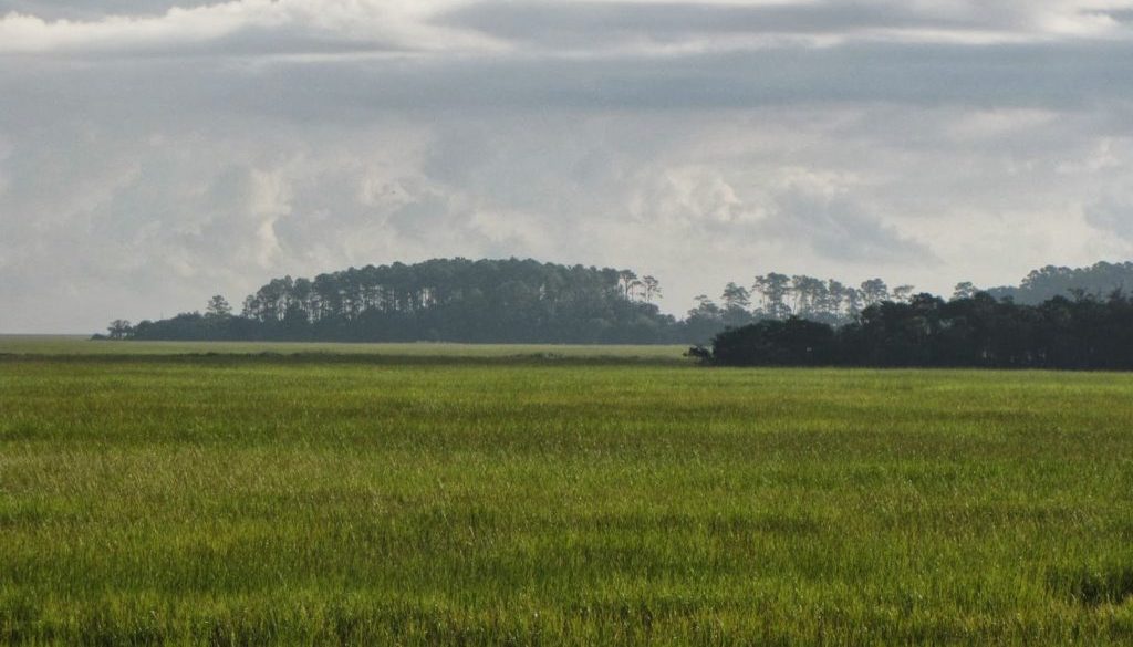 Sapelo Island from ferry