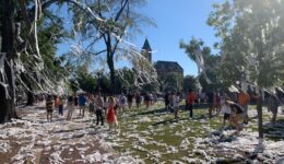 Toomers